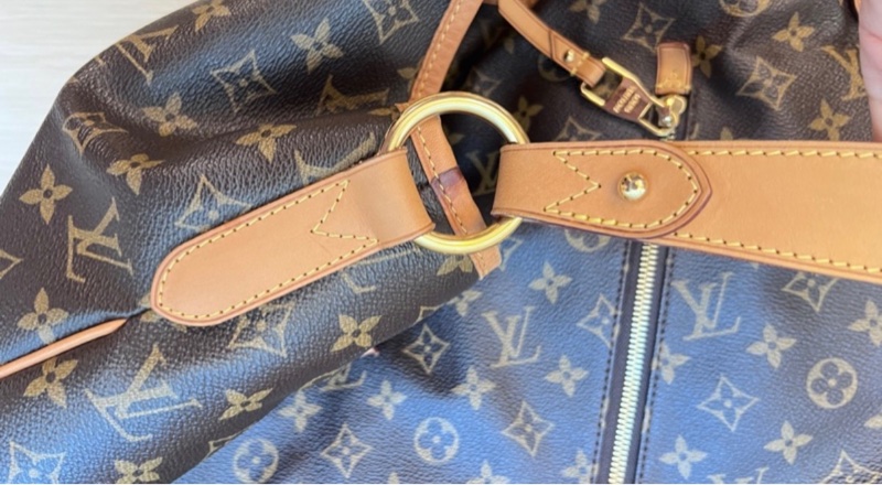LV Delightful GM 大號 老花 棕色 金扣 托特-17