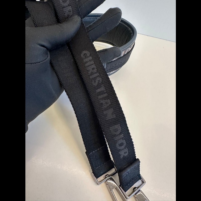 Dior safari Camera bag-23