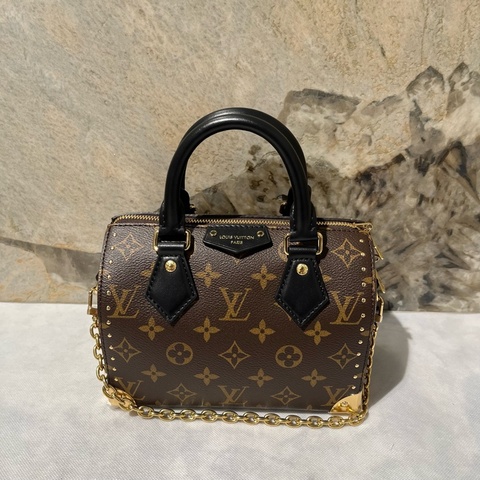 Louis Vuitton Monogram Speedy Trunk 20