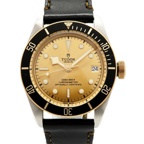 帝舵碧灣系列 S&G 79733N 金色錶盤男士腕錶