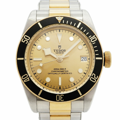 帝舵碧灣系列 S&G 79733N 金色錶盤男士腕錶