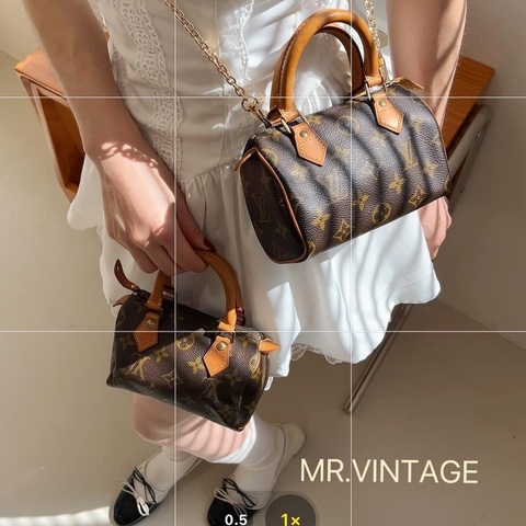 🏷️ Louis Vuitton speedy nano vintage