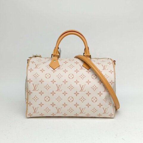 LOUIS VUITTON SPEEDYSOFT徽標印花老花PVC金扣晶片肩背包