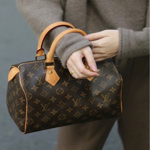 LV 經典 Speedy 25 波士頓包