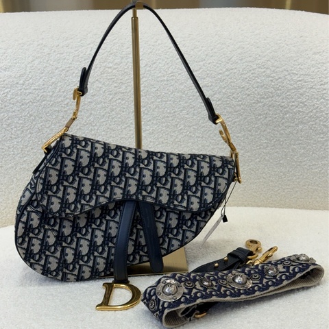 Dior SADDLE 中號馬鞍包拚特殊背帶