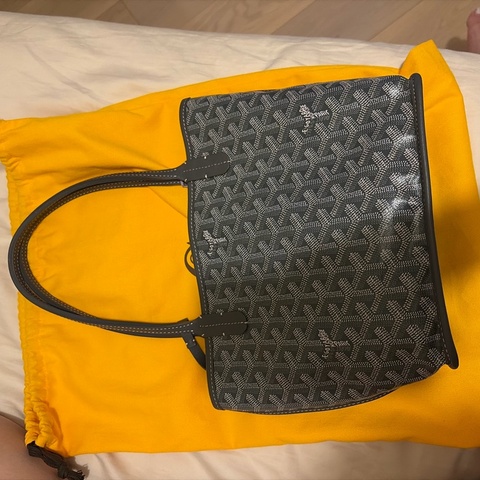GOYARD Anjou Mini Bag