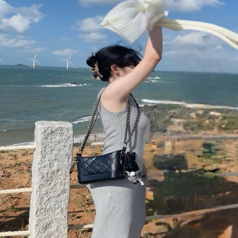 Chanel 香奈兒棕色（棕色）流浪小號，26開，鐳射清晰完整