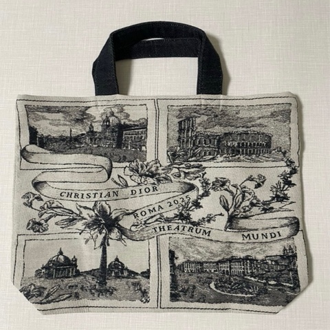 全新 Christian dior tote bag 2026 vip 手提刺繡購物包 手提包