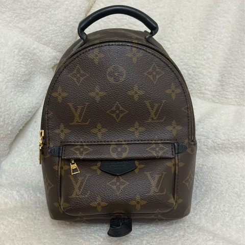 Lv mini 後背包 小書包 ✨最新晶片款