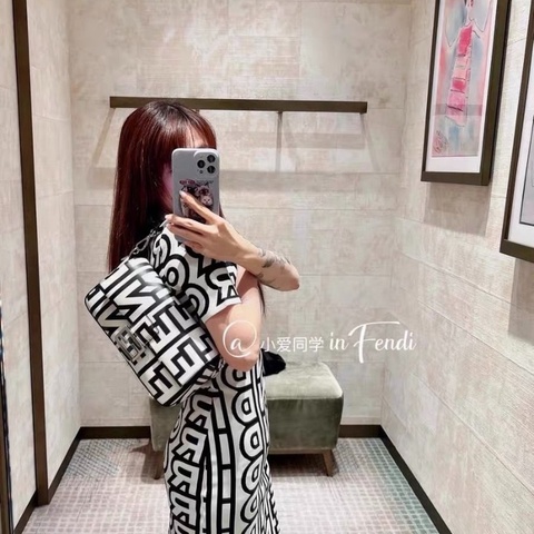 Fendi 肩背包法棍拼色中號 27x15 9新 配件塵袋