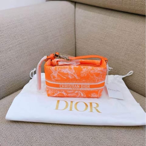 Dior 小號 飯盒包