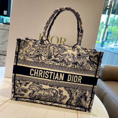 DIOR 迪奧BOOK TOT刺繡 中號手袋