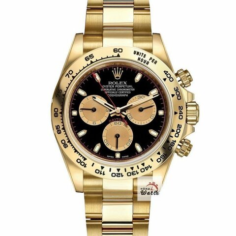 【大眾名錶】ROLEX勞力士116508 Daytona 2023/08全配 18K金 全金保羅 大眾名錶B1337