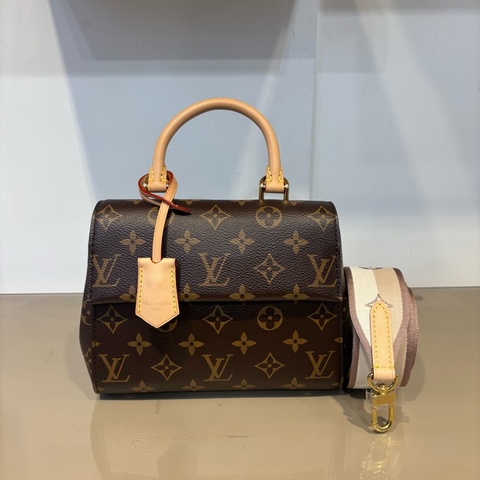 LV Cluny Mini手提肩斜背包M46055