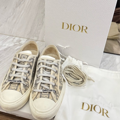 Dior🇫🇷 Walk'n'Dior系列經典logo滿版帆布鞋