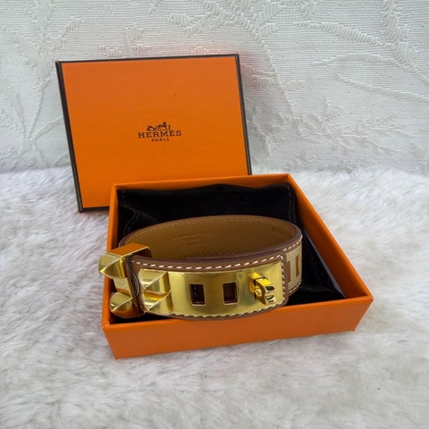 Collier de Chien 24 Circuit 24 bracelet