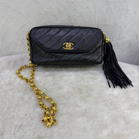 這是一個chanel vintage camera bag