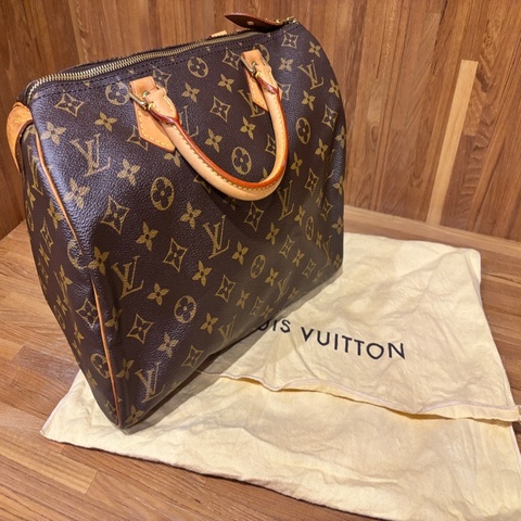 LV Speedy 25 （手提款）
