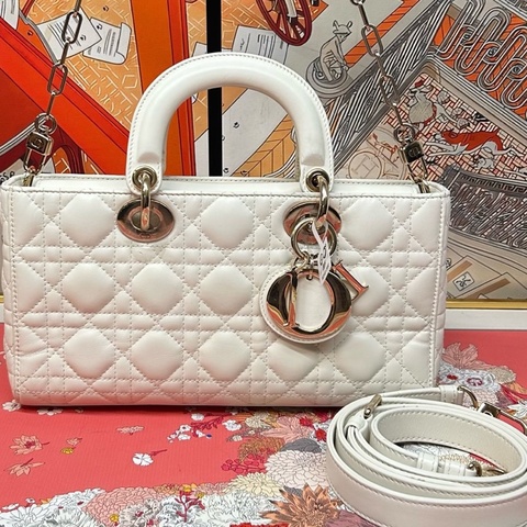 Dior 白金djoy 22年