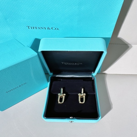 Tiffany蒂芙尼 hardwear系列 18k金鍊環耳環，大號