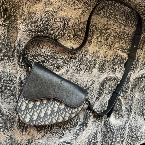 Dior Saddle 馬鞍包