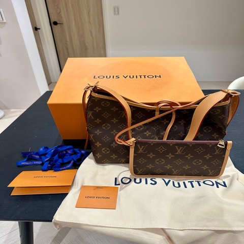 全新Louis Vuitton CarryAll PM 老花（附拉鍊子包）