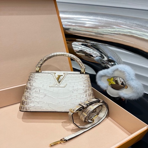LV capuciness mini 鎏金喜马拉雅