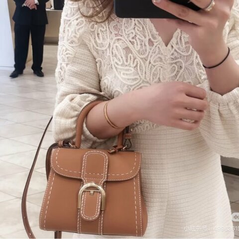 DELVAUX 金棕外縫線Brillant Mini 手提肩背斜背20*16*11.5 99新配件塵袋
