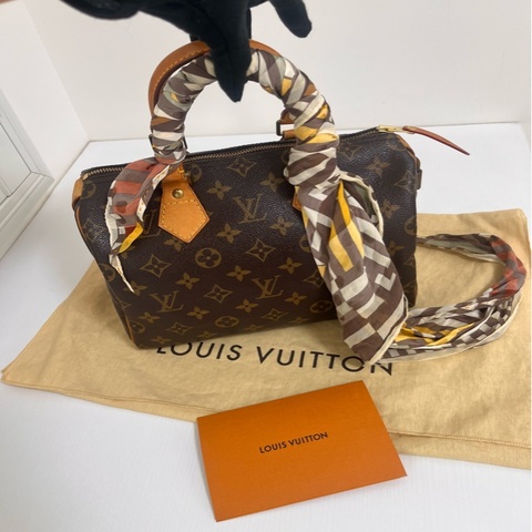經典美包LV Speedy 25波士頓包