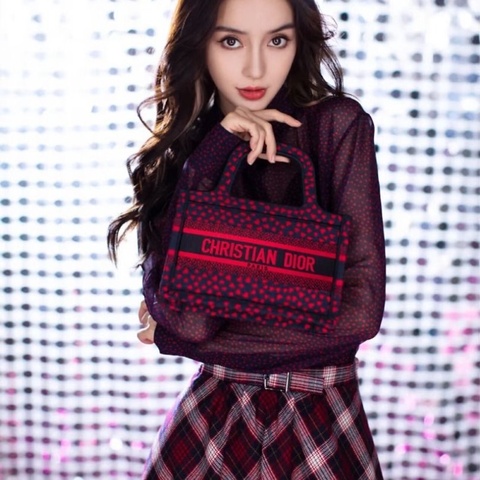 DIOR 情人節限定Book Tote 愛心刺繡mini手提托特包 23*15*7 9新 配件塵袋