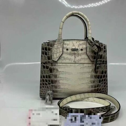 LV city steamer 撒哈拉 喜瑪拉雅鱷魚皮手提包 22.5 x 19 x 11 9新配件塵袋購證鱷魚證書