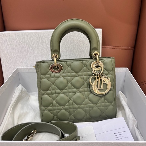 Dior迪奧綠金四格戴妃包