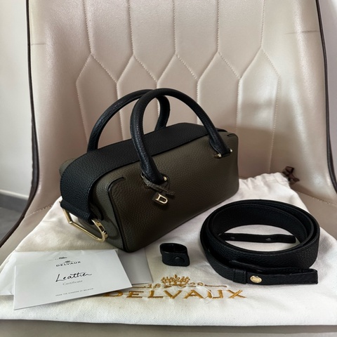 Delvaux Coolbox Mini
