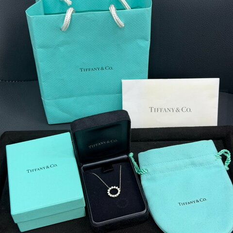 💎Han's house精品服飾💎tiffany & co 蒂芙尼太陽花水鑽項鍊 白金項鍊