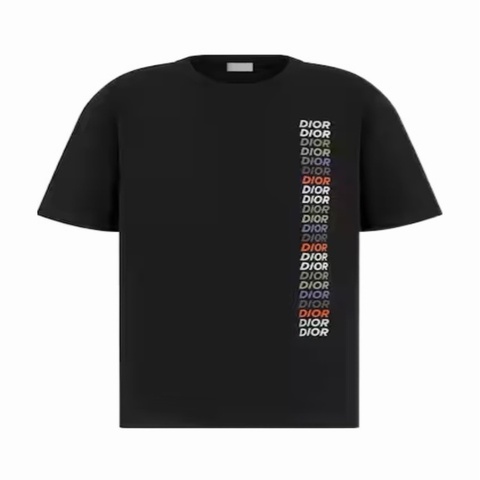 Dior 男士 標誌短袖T恤XS S M L XL XXL