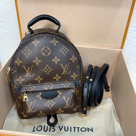 Lv 原花Palm springs mini小書包