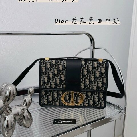 DIOR老花蒙田中號