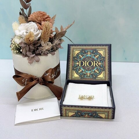 DIOR Evolution金色字母鑲鑽耳環