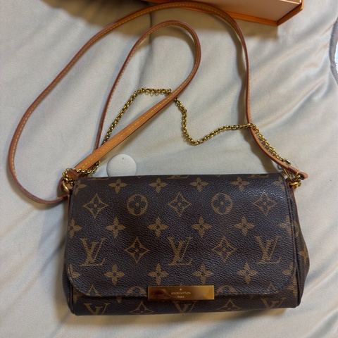 LV Louis Vuitton Favorite handbag - middle size 中號袋