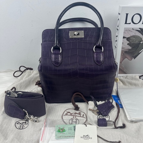 愛馬仕Hermes ToolBox20 牛奶盒子 葡萄紫 銀扣 兩點鰐魚皮 框Q，有鰐魚證 雨衣
