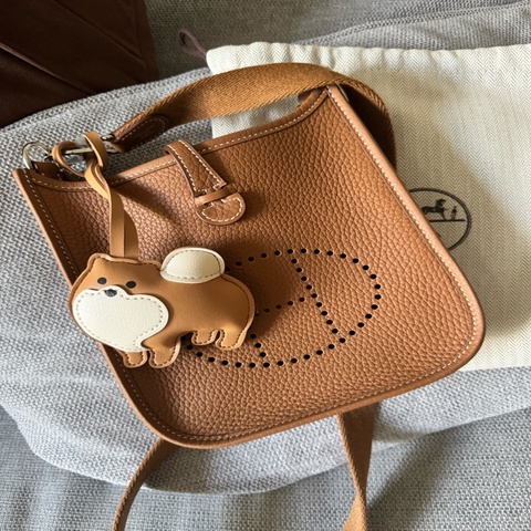 Hermes mini Evelyn