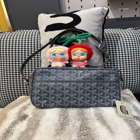 Goyard cap vert camera bag Grey 100%Authentic ,98%new ✅塵袋✅booklet