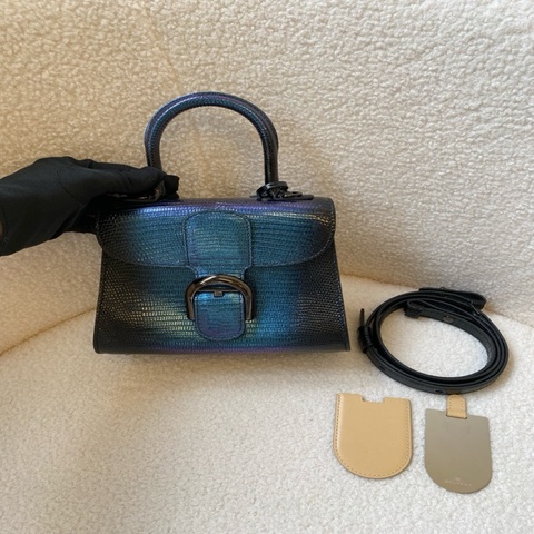 delvaux 德爾沃，漸變色蜥蜴皮 mini，珍稀皮革（蜥蜴皮），絕美。