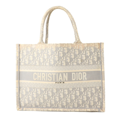Dior 帆布Book Tote Medium手挽袋