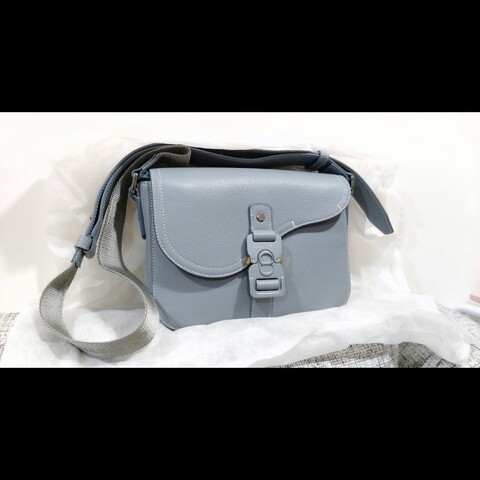 DIOR Saddle 翻蓋郵差包 (馬鞍包)