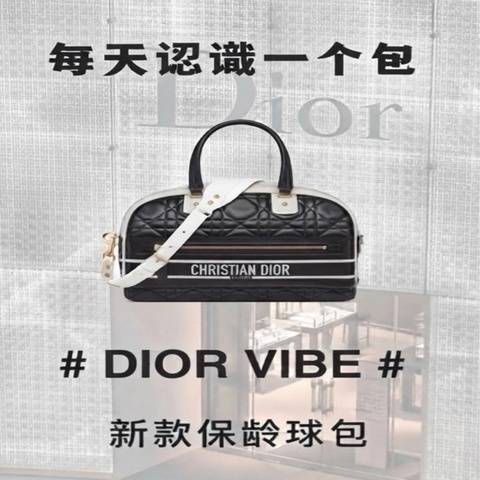 迪奧/Dior 黑白拼色藤格金扣寬肩帶保齡球 尺寸:35*21*16