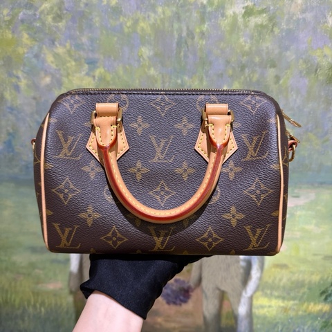 99新.LouisVuitton 路易威登 speedy20 枕頭包 芯片款