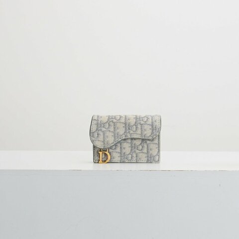 DIOR Saddle 卡包 / 灰老花