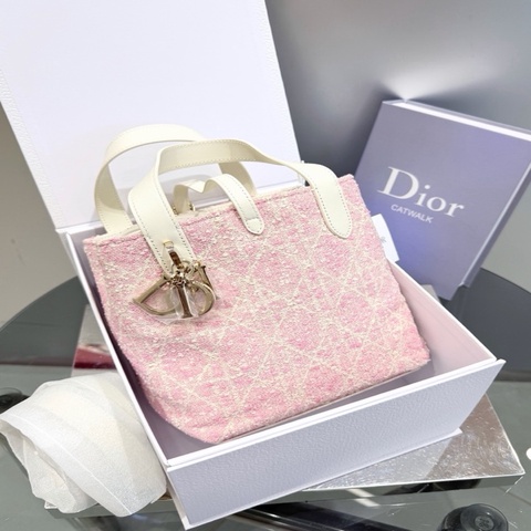 Dior Toujours 小号最新款土著托特包
