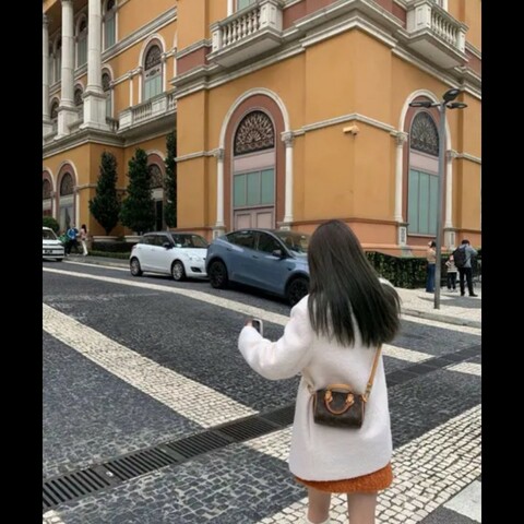 LV 經典老花 speedy nano